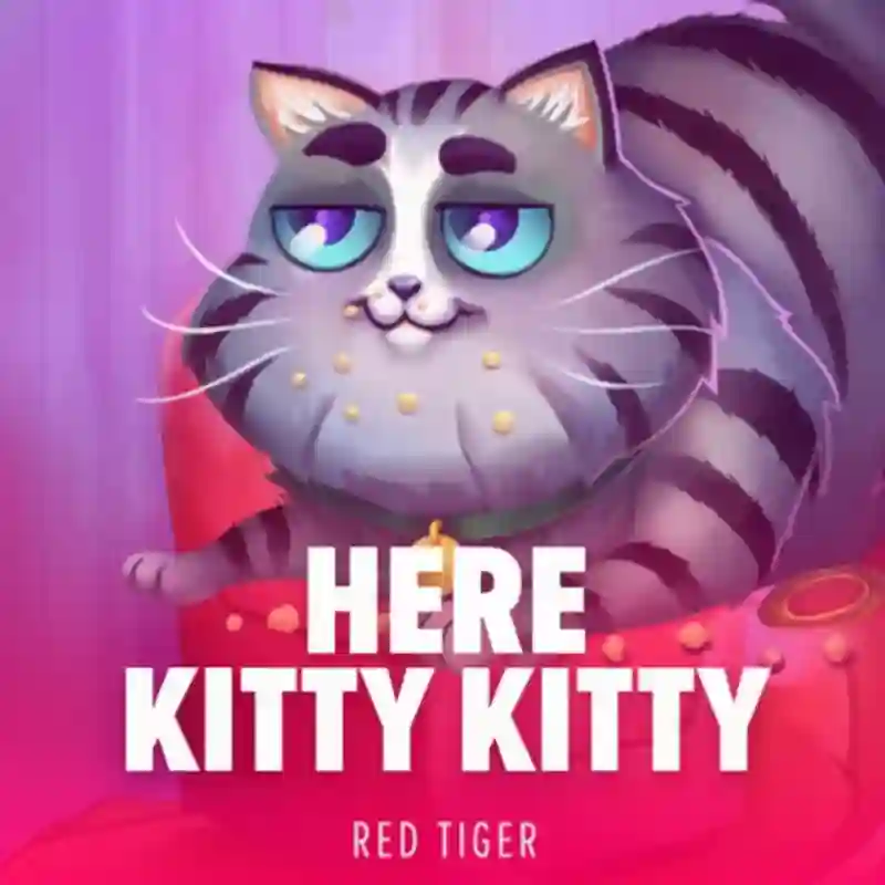 Here Kitty Kitty